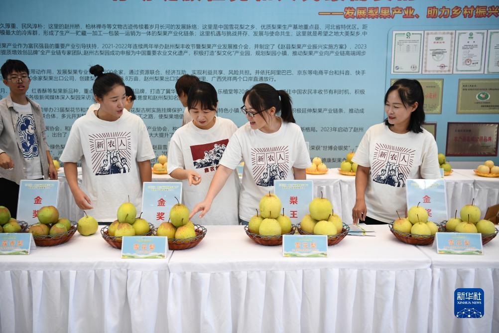 大满贯电子娱乐网址396667